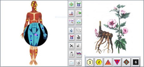 biorésonace étape 2