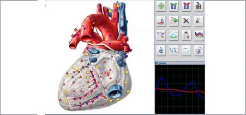 biorésonace étape 6
