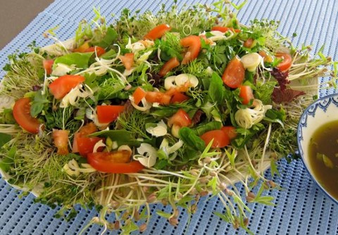 naturopathe belfort, recette, cuisine